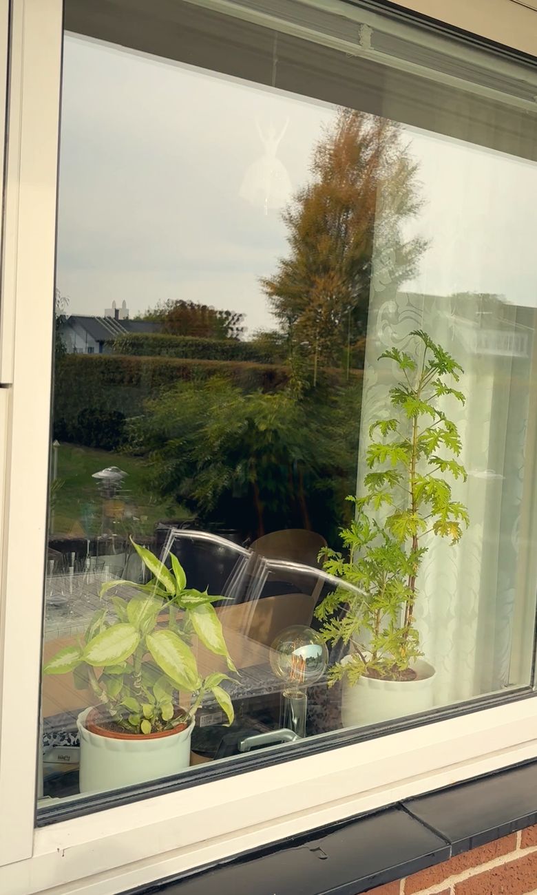 The same window after cleaning