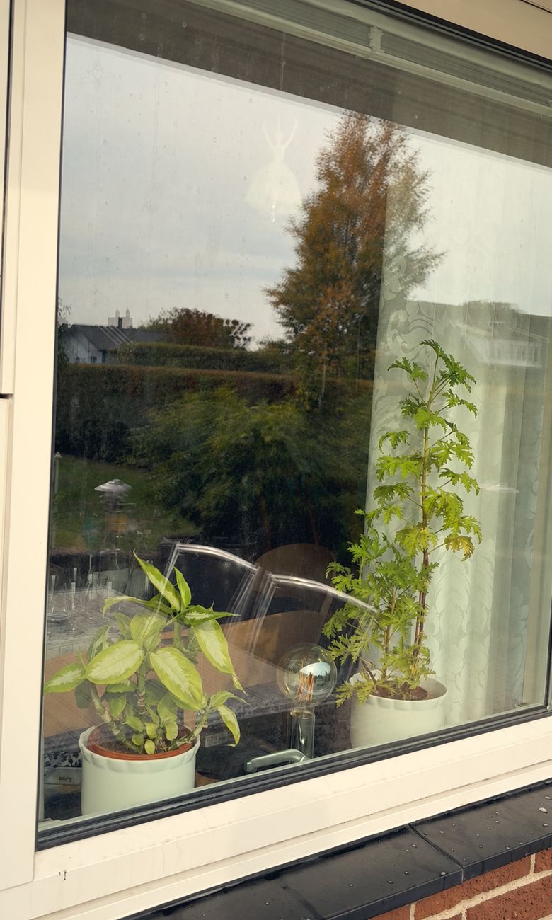 Window before cleaning